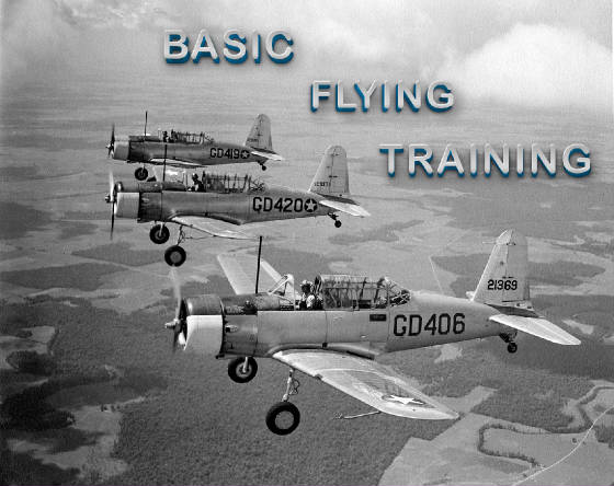 Basic-Flying-Training-WEB.jpg