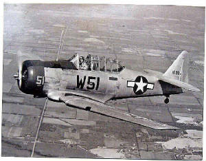 AT6W31.jpg