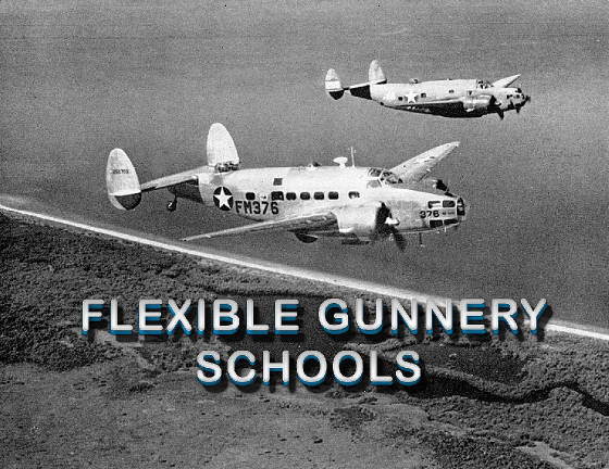 FlexGunSchoolsWEB.jpg