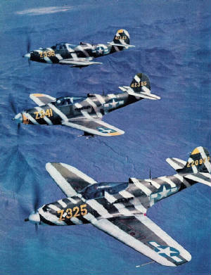 LVAAF-P39Q.jpg