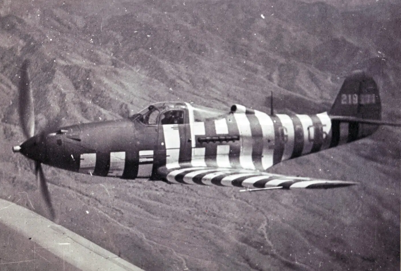 KingP-39.jpg